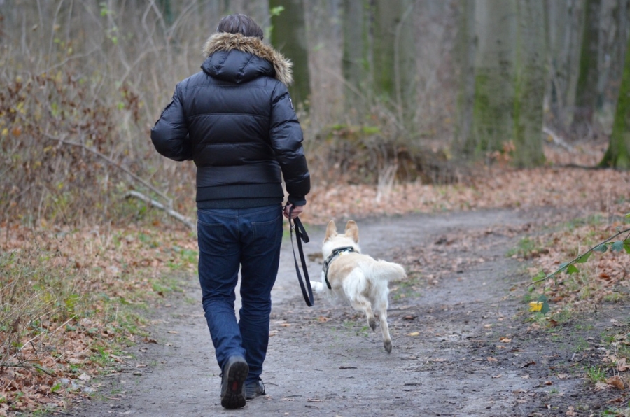 Muž na procházce v lese se psem